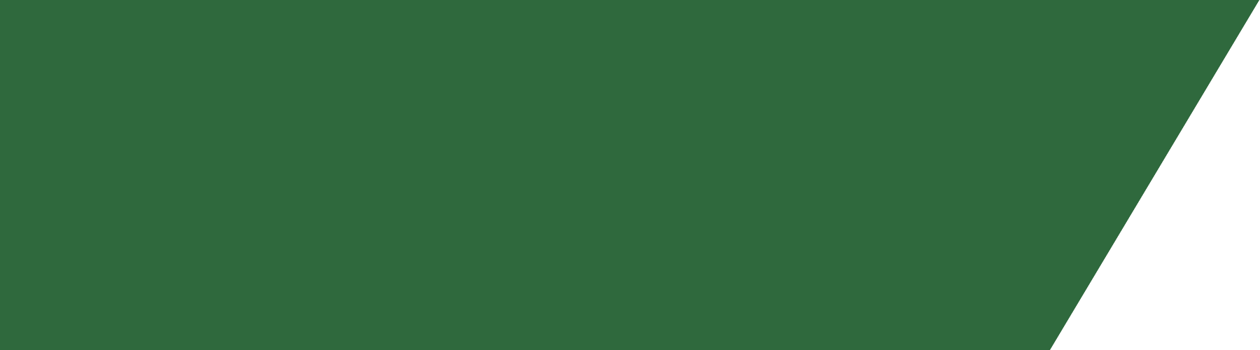 vetor banner png