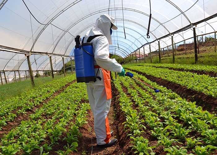 agroquímicos para plantas daninhas