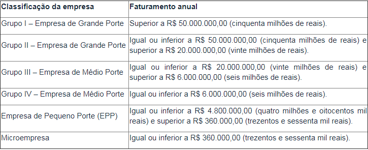 o que significa porte demais no cnpj